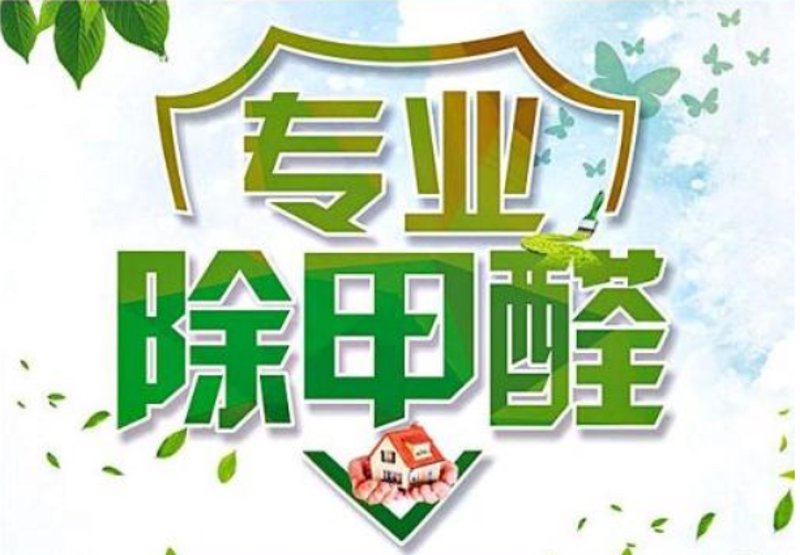 室内甲醛治理:如何为家人创造健康呼吸环境
